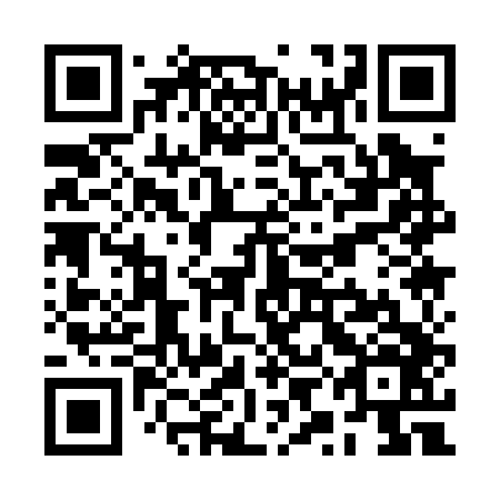 QR code for plate RYA 046