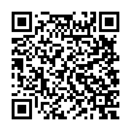 QR code for plate RYF 873