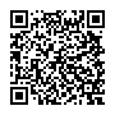 QR code for plate RYG 094