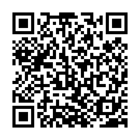 QR code for plate RYG 471