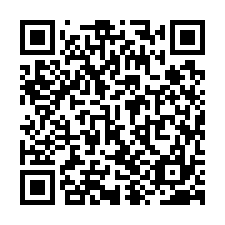 QR code for RYI 737