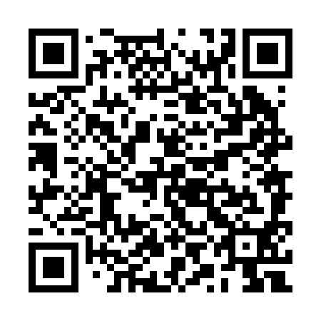 QR code for RYN 290