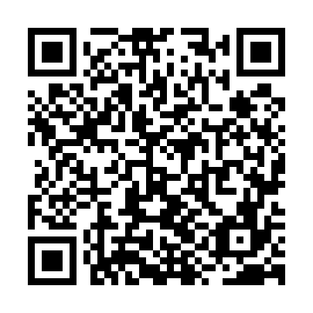 QR code for plate RYN 576