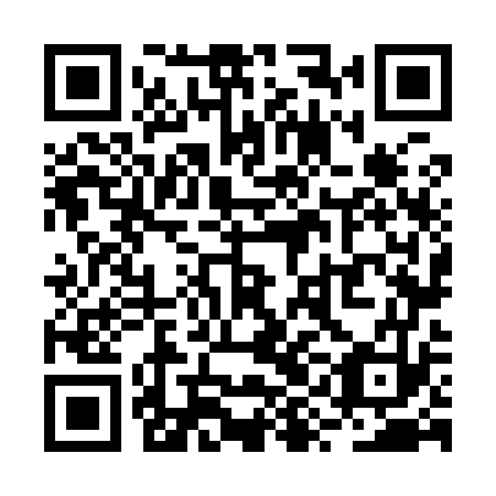 QR code for plate RYN 973