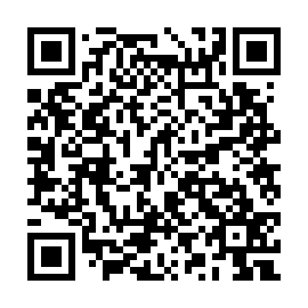 QR code for RYR 737