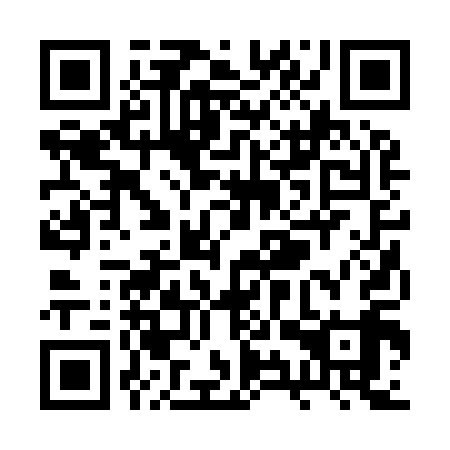 QR code for RYR919
