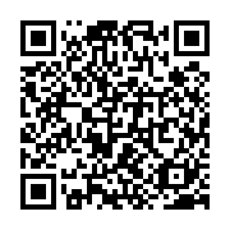 QR code for plate RYU 521