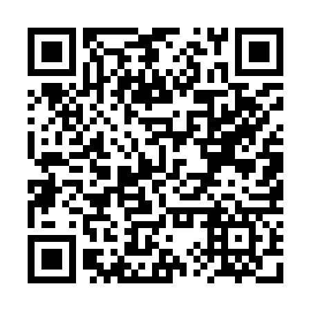 QR code for plate RYU 967