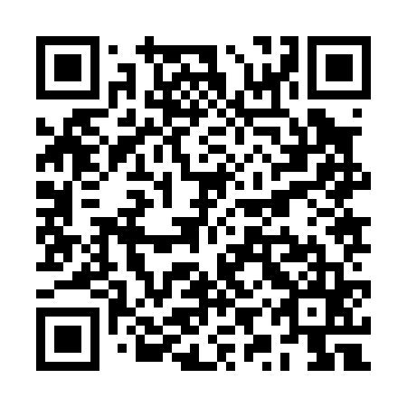 QR code for RYZ 065