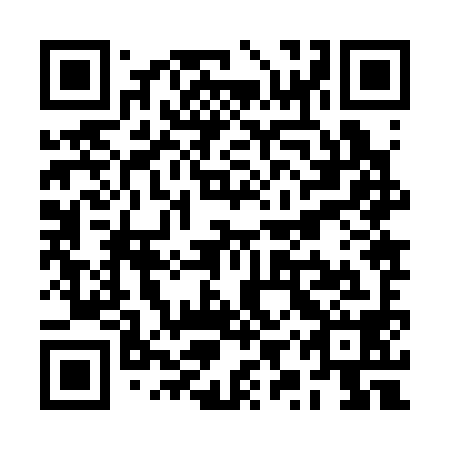 QR code for RYZ 398