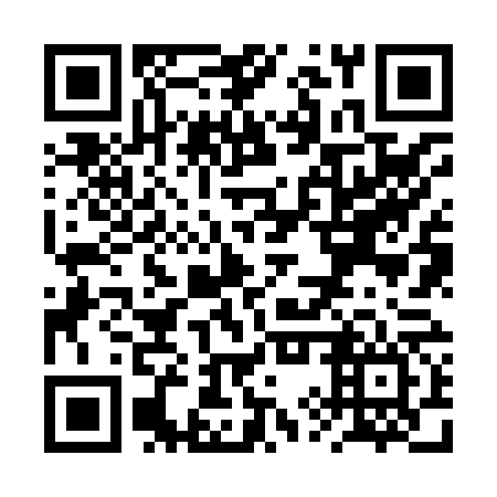 QR code for RYZ 866