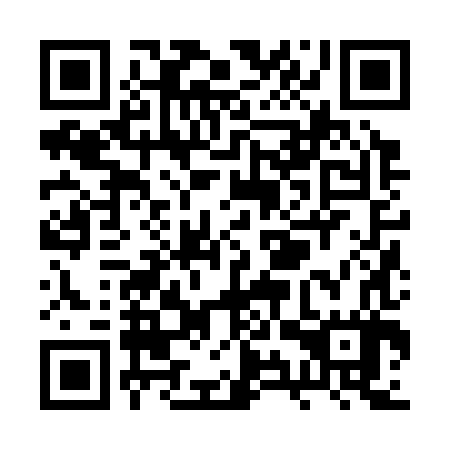 QR code for RYZ387