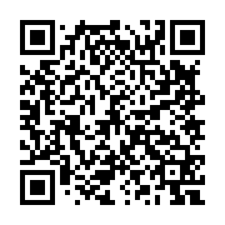 QR code for plate RYZ 860