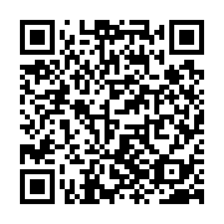 QR code for RZG 739