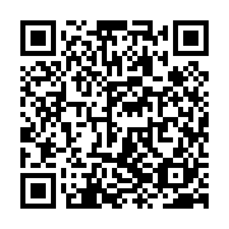 QR code for RZI 020