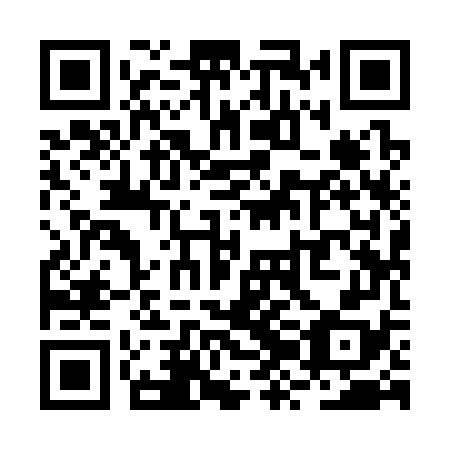 QR code for RZI 378