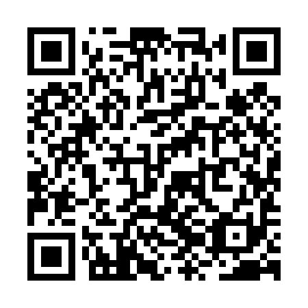 QR code for RZI491