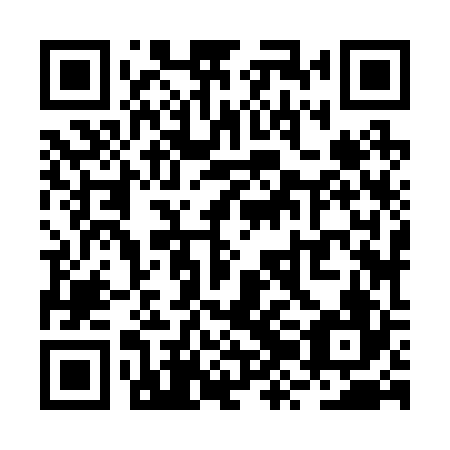 QR code for plate RZJ 226