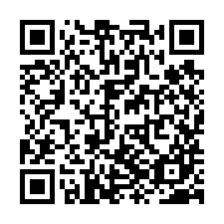 QR code for plate RZK 687