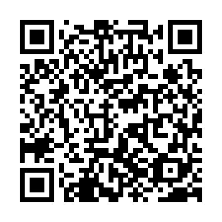 QR code for RZM 368