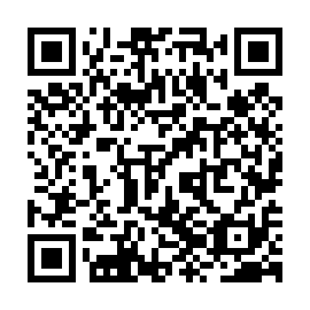 QR code for RZN 411