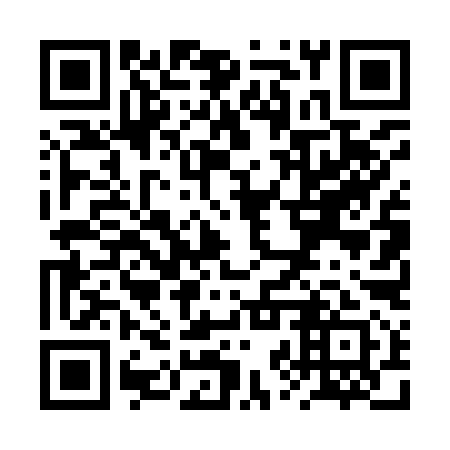QR code for RZT 991