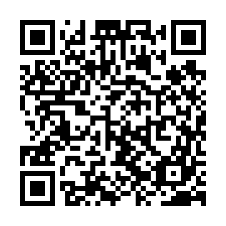 QR code for plate RZY 667