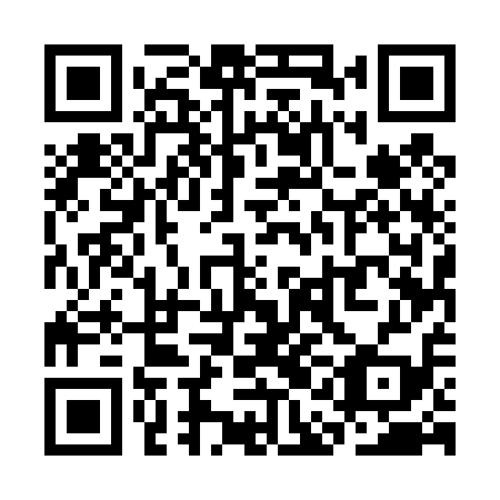 QR code for SAE 419