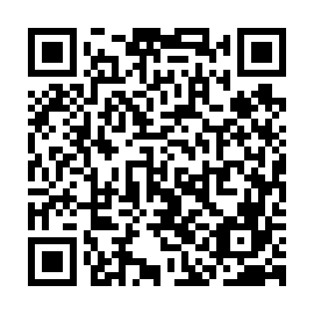 QR code for SAE 666