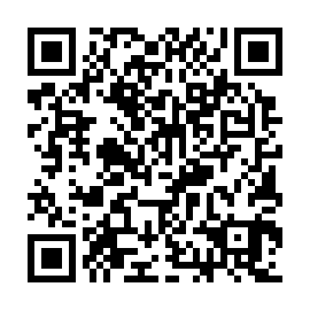 QR code for plate SAE 301