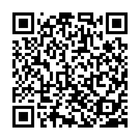 QR code for SAE319