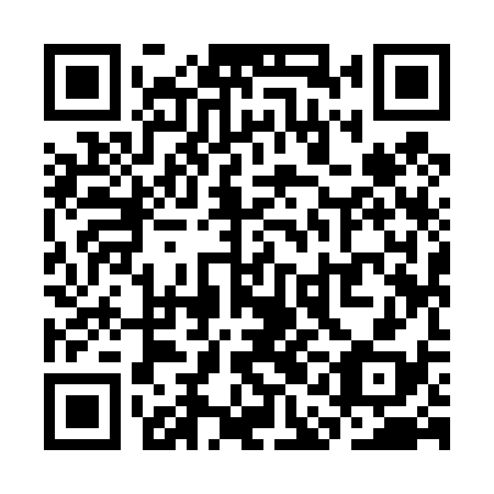QR code for SAI438