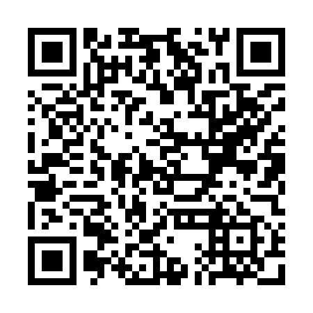 QR code for plate SAL 959