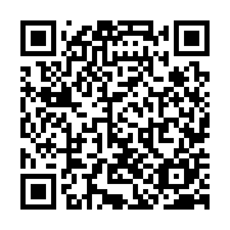 QR code for plate SAN 305