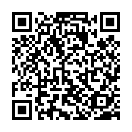 QR code for plate SAN 428
