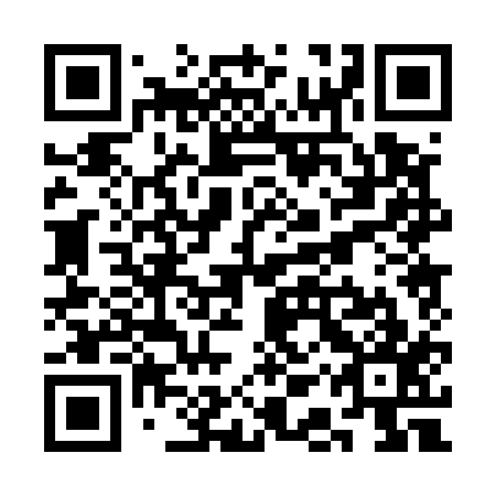 QR code for SAP 517