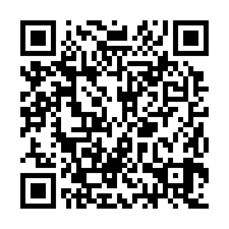 QR code for SAR389