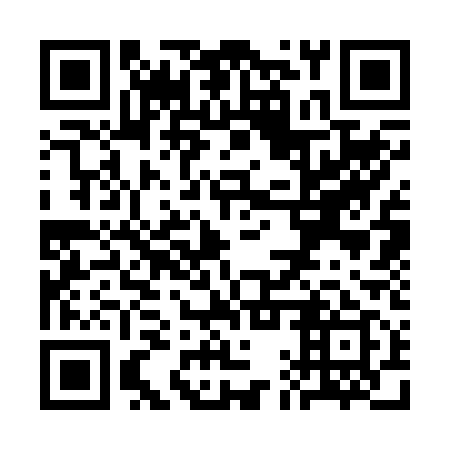 QR code for SAS 219