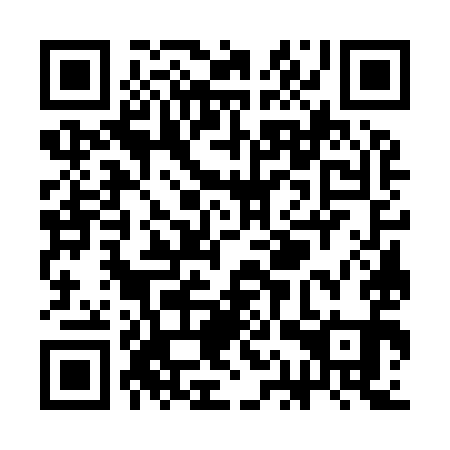 QR code for SAW 991