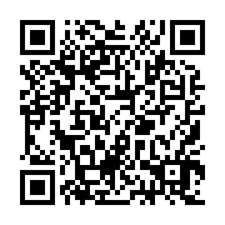 QR code for plate SAY 806