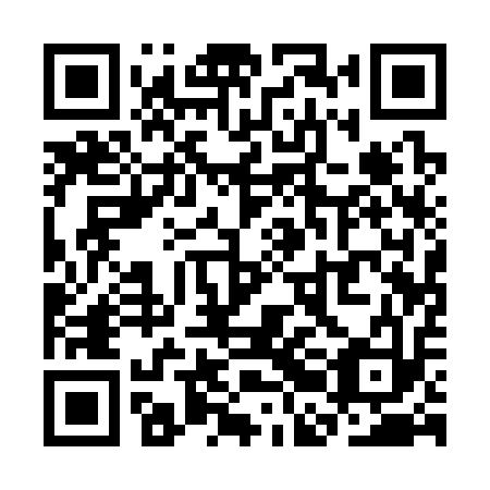 QR code for SBA 313