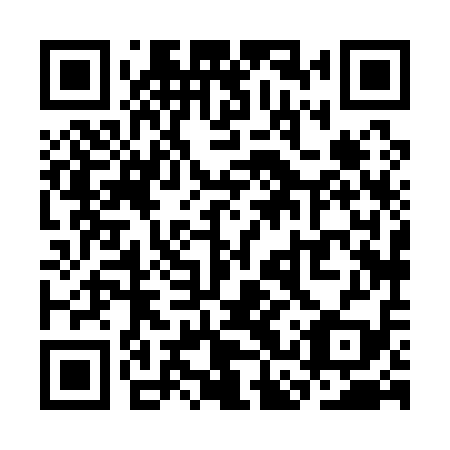 QR code for plate SCX 119