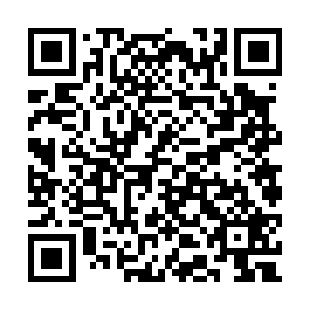 QR code for SDF 029