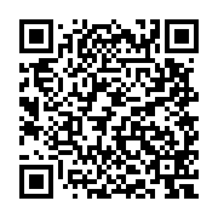 QR code for SDG 599