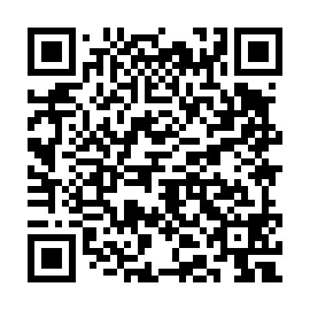 QR code for SDI 498