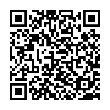 QR code for SDL 291