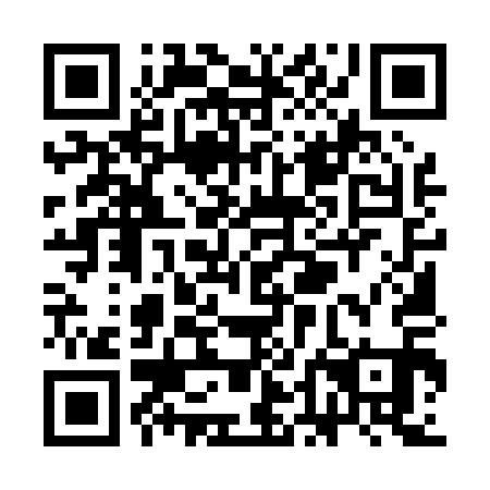 QR code for SDM 011