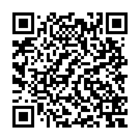 QR code for plate SDM 729