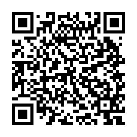 QR code for SDW 295