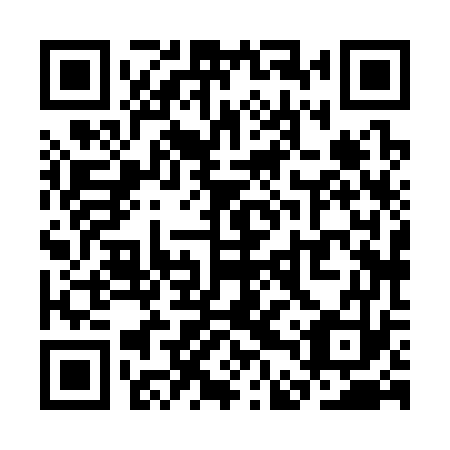 QR code for plate SDX 373